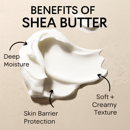 Whipped Body Butter Sample Pack – Try All Scents